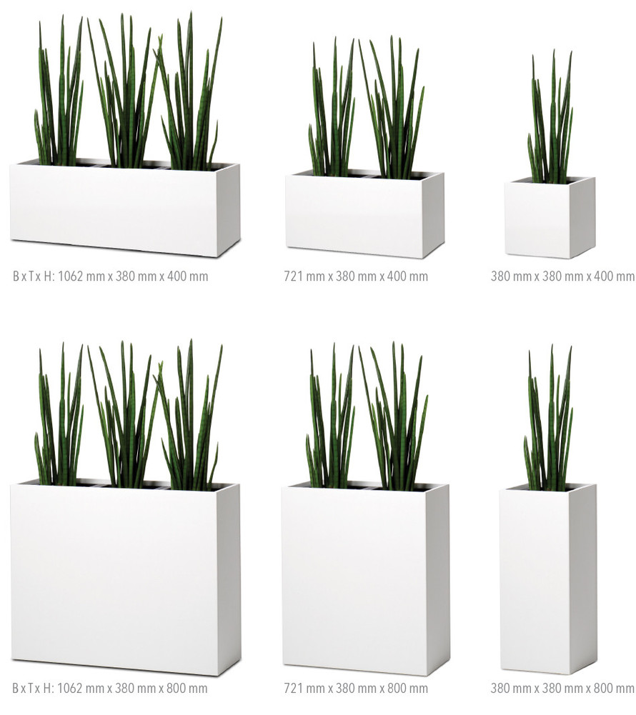 plant_u_bersicht.jpg